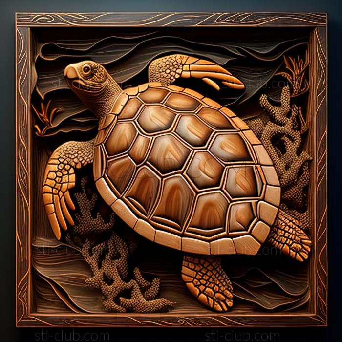 st Advaita turtle famous animal